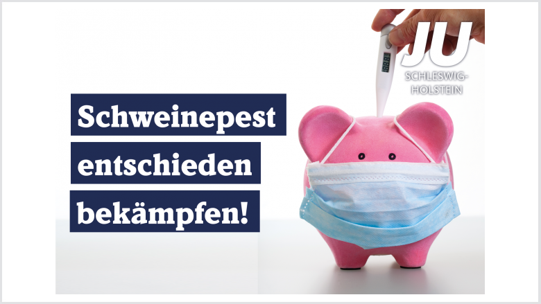 Schweinepest